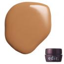 edit. カラージェル 012 4g camel heel