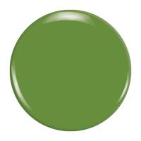 ZOYA ZP796
