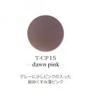 TOYs アクリルカラーP 7g T-CP15 ドーンピンク