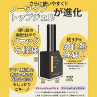 PRESTO ブラッシュオン ノーワイプトップジェル 14g