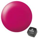 KOKOIST カラージェル 2.5g E-184