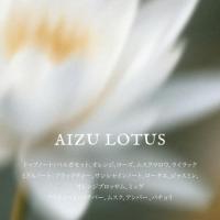 ARTiS バターハンドクリーム 40g AIZU LOTUS