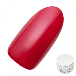 Dna Gel カラージェル 2.5g MR01