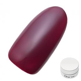 Dna Gel カラージェル 2.5g MR06