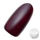 Dna Gel カラージェル 2.5g MR07