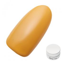 Dna Gel カラージェル 2.5g MY03