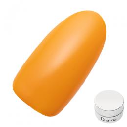 Dna Gel カラージェル 2.5g MY04