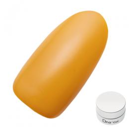 Dna Gel カラージェル 2.5g MY06