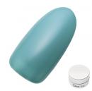 Dna Gel カラージェル 2.5g MG10