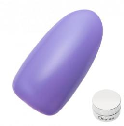Dna Gel カラージェル 2.5g MPP01