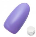 Dna Gel カラージェル 2.5g MPP01