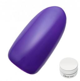 Dna Gel カラージェル 2.5g MPP02