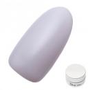 Dna Gel カラージェル 2.5g MPP03