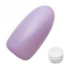 Dna Gel カラージェル 2.5g MPP04