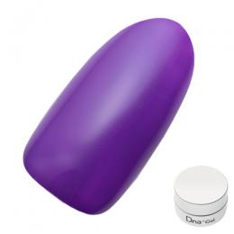 Dna Gel カラージェル 2.5g MPP06