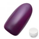 Dna Gel カラージェル 2.5g MPP07