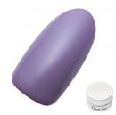Dna Gel カラージェル 2.5g MPP08