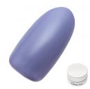 Dna Gel カラージェル 2.5g MPP09