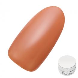 Dna Gel カラージェル 2.5g N10