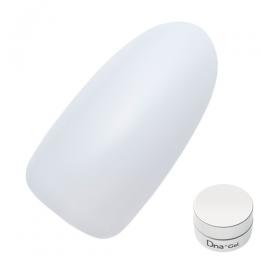 Dna Gel カラージェル 2.5g S01