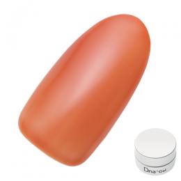 Dna Gel カラージェル 2.5g S02