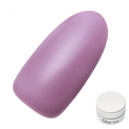 Dna Gel カラージェル 2.5g S03