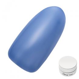 Dna Gel カラージェル 2.5g S06