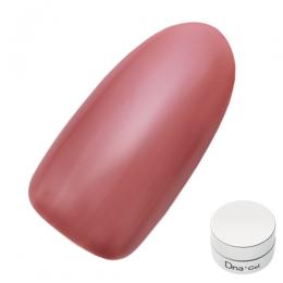 Dna Gel カラージェル 2.5g S08