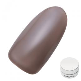 Dna Gel カラージェル 2.5g S09
