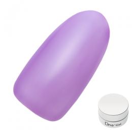 Dna Gel カラージェル 2.5g S11