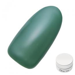 Dna Gel カラージェル 2.5g S12