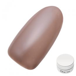 Dna Gel カラージェル 2.5g S13