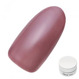 Dna Gel カラージェル 2.5g S14