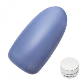 Dna Gel カラージェル 2.5g S16