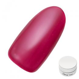 Dna Gel カラージェル 2.5g S19