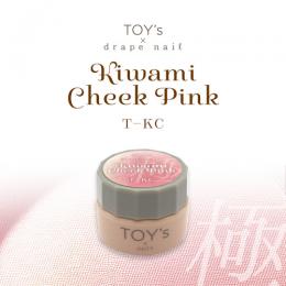 TOYsXINITY 極みチークピンク 5g