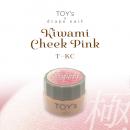 TOYsXINITY 極みチークピンク 5g