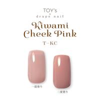 TOYsXINITY 極みチークピンク 5g