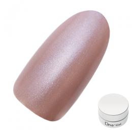 Dna Gel カラージェル 2.5g P05