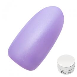 Dna Gel カラージェル 2.5g P06