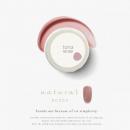 WSPT torta カラージェル ナチュラル 3g NC002