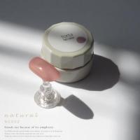 WSPT torta カラージェル ナチュラル 3g NC002