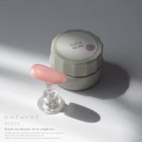 WSPT torta カラージェル ナチュラル 3g NC003