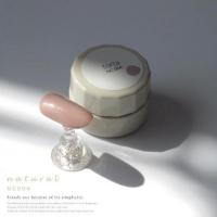 WSPT torta カラージェル ナチュラル 3g NC004