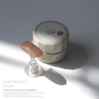 WSPT torta カラージェル ナチュラル 3g NC005