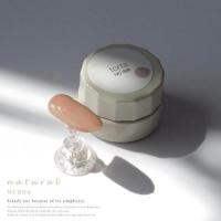 WSPT torta カラージェル ナチュラル 3g NC006