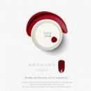 WSPT torta カラージェル ナチュラル 3g NC008