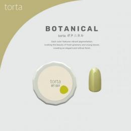 WSPT torta カラージェル ボタニカル 3g BT001