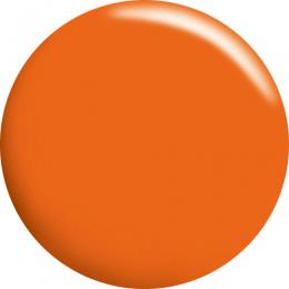 カルジェル カラージェル フレッシュオレンジ 4g CGOR01S