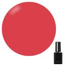 PRESTO ブラッシュオンカラージェル 10g 309